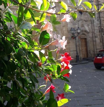 Nenet Bed & Breakfast Guglionesi Dış mekan fotoğraf