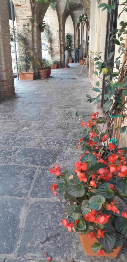 Nenet Bed & Breakfast Guglionesi Dış mekan fotoğraf