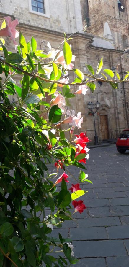 Nenet Bed & Breakfast Guglionesi Dış mekan fotoğraf